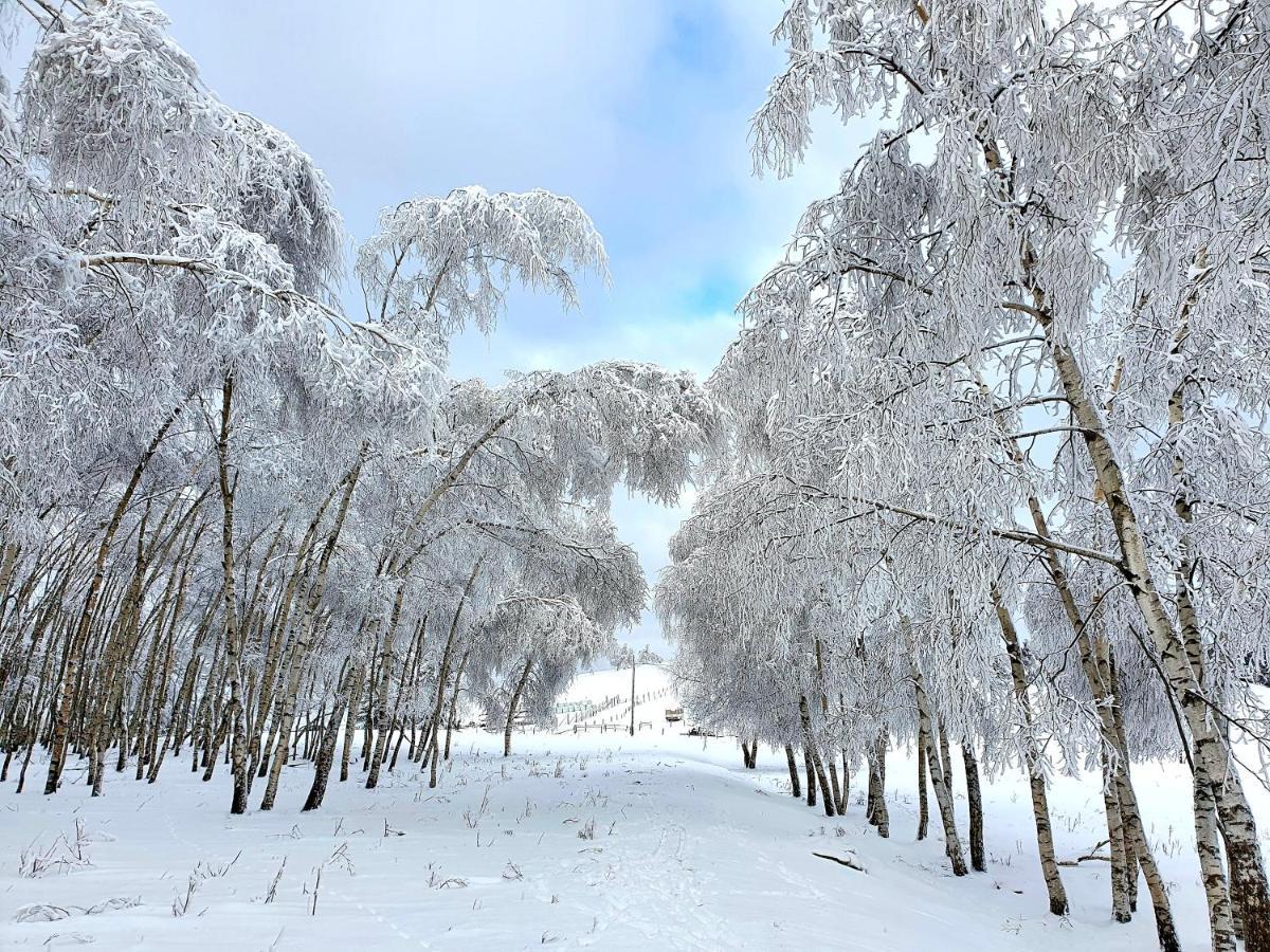 Chata Waliszow Nowy Waliszow Экстерьер фото